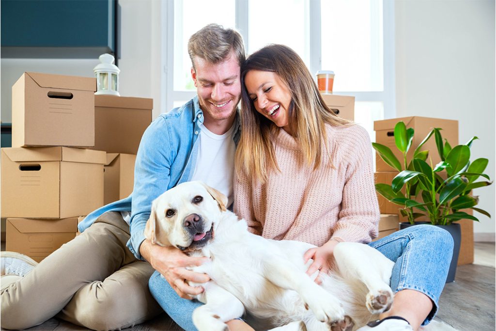 Moving with pets guide